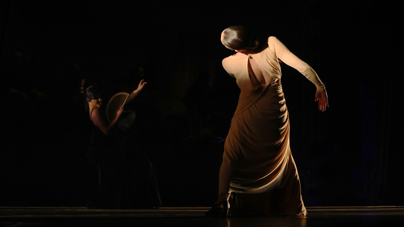 « Ouverture d&aposArte Flamenco : Patricia Guerrero au firmament » © L. Moulié | Dpt40