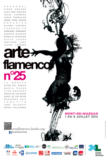 Affiche Arte Flamenco 2013