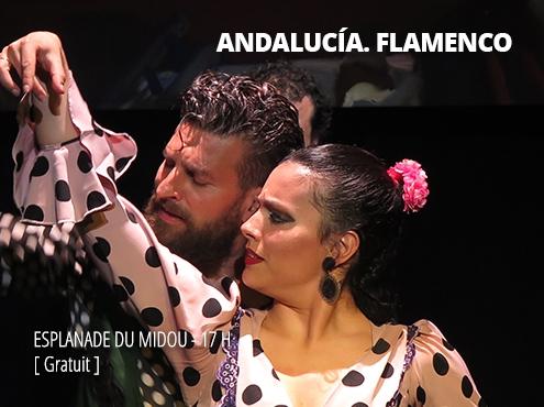 Tablao Andalou 1