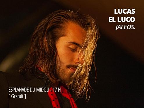 Lucas El Luco